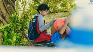 迷藏 — foto 4