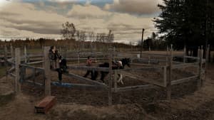 Cheval — foto 1