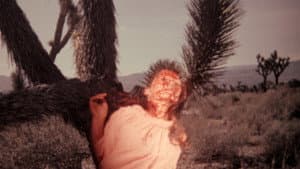 Meatcleaver Massacre — foto 2