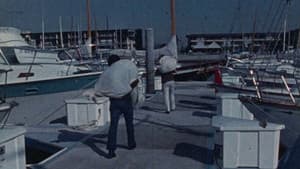 White Slavers — foto 2