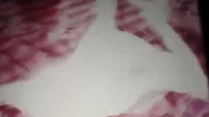 removed — foto 3
