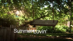 Summer Lovin' — foto 1
