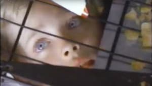 The Innocent — foto 1