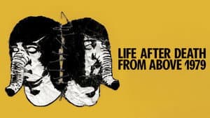 Life After Death from Above 1979 — foto 1
