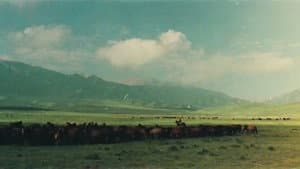 牧马人 — foto 1