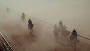 هجّان — foto 4