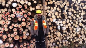 On n'est pas sorti du bois! — foto 2