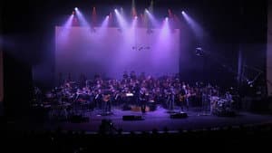 Vetusta Morla & Orquesta Sinfónica de la Región de Murcia — foto 1
