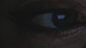 Monitor II — foto 1