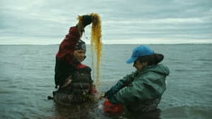 Seaweed Stories — foto 2