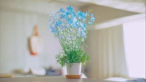 恋愛ルビの正しいふりかた — foto 11