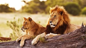 Wild Botswana — foto 3