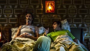 Il ladro di cardellini — foto 3