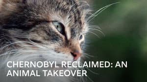 Chernobyl Reclaimed: An Animal Takeover — foto 1
