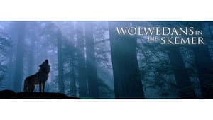 Wolwedans In Die Skemer — foto 2