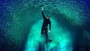 Ningaloo: la maravilla oceánica de Australia — foto 1