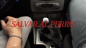 Salvar al Perro — foto 1