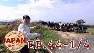 Episodio 44