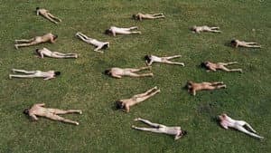 Balkan Erotic Epic - Single Channel Version — foto 1