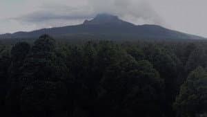 La Bruja — foto 3