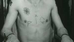 Pig — foto 5