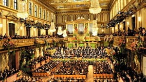 Neujahrskonzert der Wiener Philharmoniker 2009 — foto 10