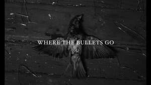 Where the Bullets Go — foto 1