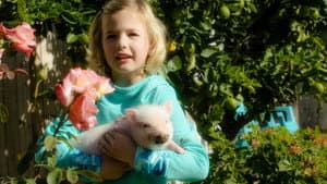 Arlo: The Burping Pig — foto 1
