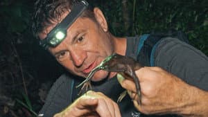 Episodio 8
