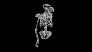 American Cryptids — foto 1