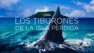 Sharks of Lost Island — foto 2