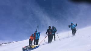The Pursuit of Endurance — foto 1