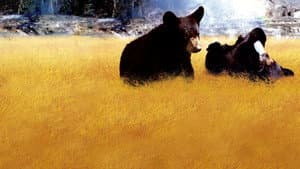 Los oseznos de Yellowstone — foto 1
