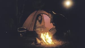 Silt — foto 1