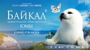 Байкал. Удивительные приключения Юмы — foto 2