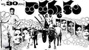 తాతమ్మ కల — foto 1