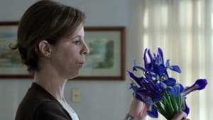 Flores silvestres — foto 2