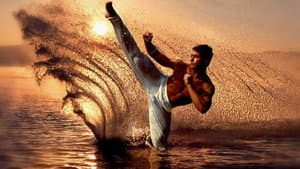 Kickboxer — foto 11