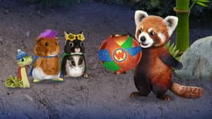 ¡Ayuden a la panda roja! / “¡Ayuden a las pajaritas a escribir una canción!
