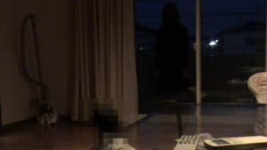 投稿 怨霊映像 Vol.8 妖篇 — foto 1