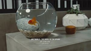 Episodio 12