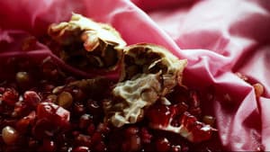 The Pomegranate Theory — foto 3