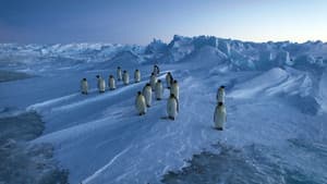 Vincent Munier, éternel émerveillé — foto 1
