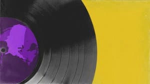 Vinyl Nation — foto 2