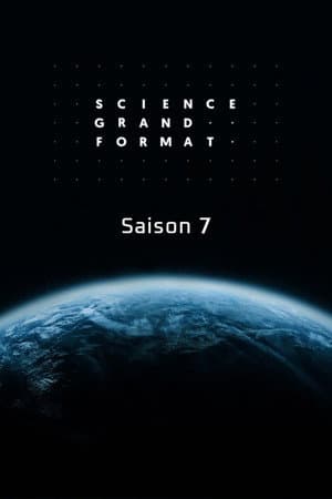 Temporada 7