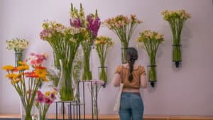 Crescendo — foto 2