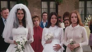 Group Marriage — foto 6