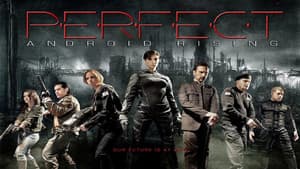 Perfect — foto 1