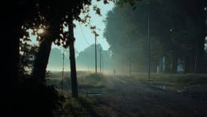 Transumanza — foto 1