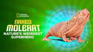 Naked Molerat: Nature’s Weirdest Superhero — foto 4